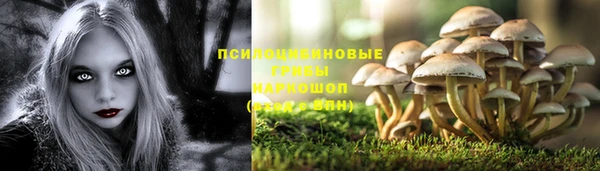 СК Балахна