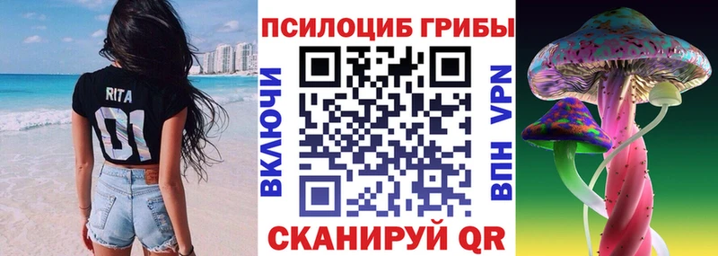 Псилоцибиновые грибы прущие грибы где продают Гудермес